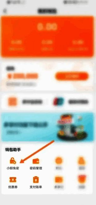 小额免密支付方式选择界面，高亮显示支付宝选项