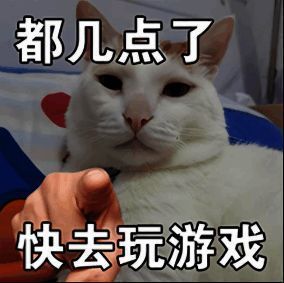 不同身份协议专属装备展示图