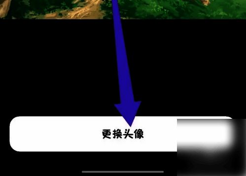 头像更换界面示意图，展示多种风格选项