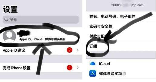 iPhone订阅管理页面，展示自动续费项目设置界面