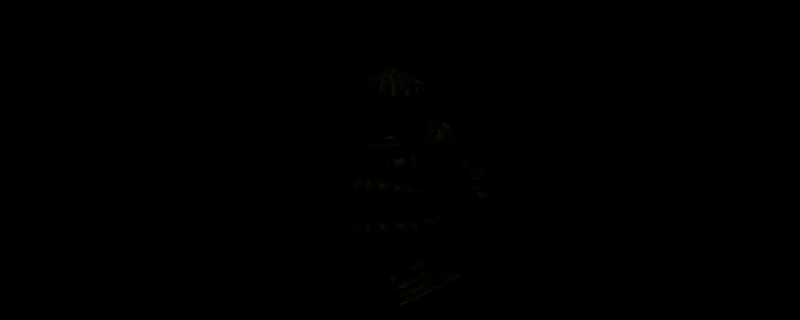 艾尔登法环黑夜君临游戏场景，角色手持武器站在黑暗风格的地图中