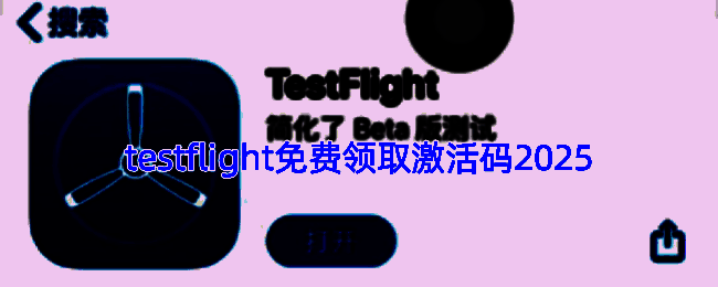 TestFlight界面展示图，显示应用测试平台操作界面