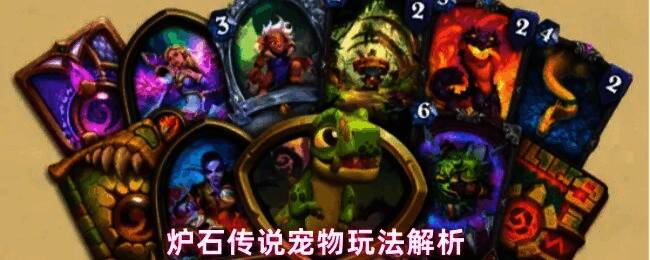 炉石传说宠物系统展示，宠物仅限玩家本人可见，互动特效丰富