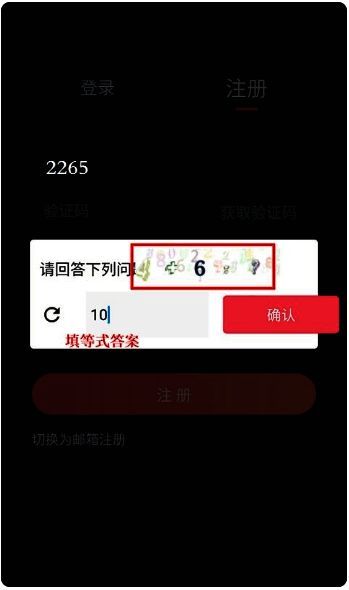 验证码验证界面示意图，数学等式4+6=?被突出显示