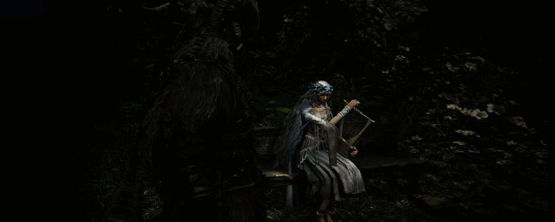 艾尔登法环黑夜君临复仇者参战成就流程图示，展示关键NPC和道具位置