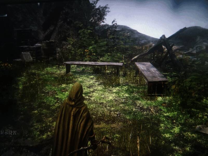 战斗场景：主角与被黑夜侵蚀的黄金河马激烈交锋