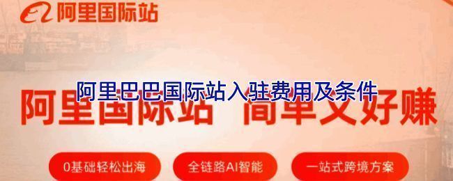 阿里巴巴国际站店铺后台界面展示