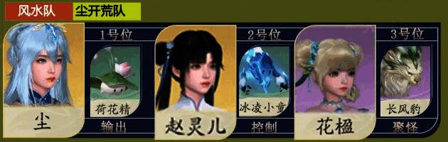 风水队阵容展示，各角色站位合理，配合默契