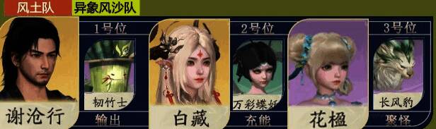 风土队阵容搭配示意图，展示白藏与万彩蝶妖等宠物协同作战