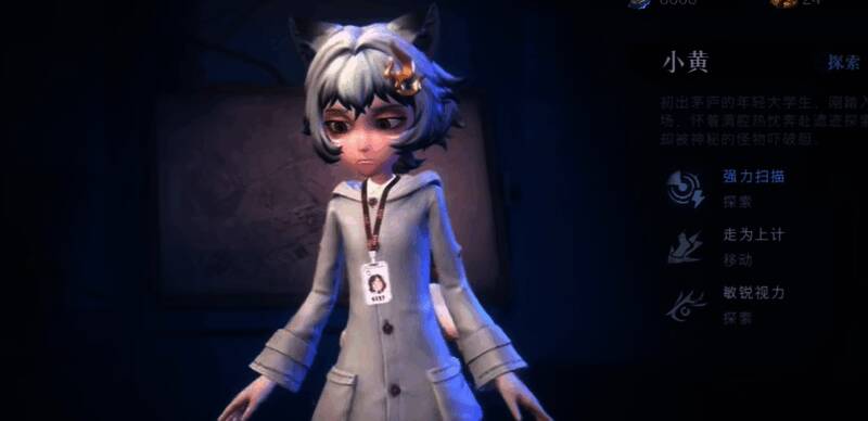 游戏内装扮系统截图，显示不同皮肤选项