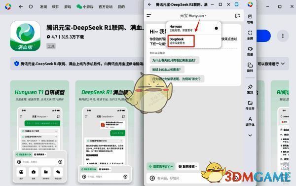 DeepSeek功能设置界面，显示深度思考与联网搜索选项已勾选