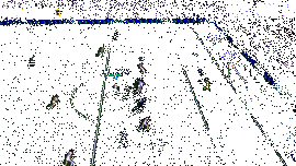 卡恩精彩扑救GIF，展现其门神风采