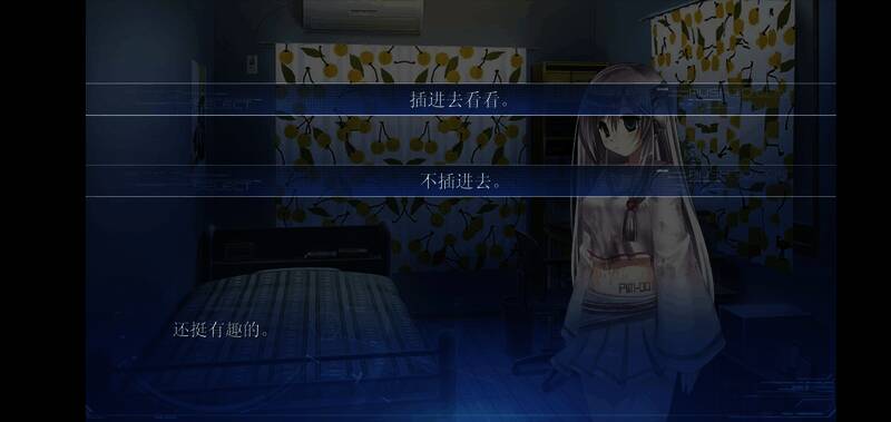 游戏对话选项界面，『插进去看看』被选中高亮显示