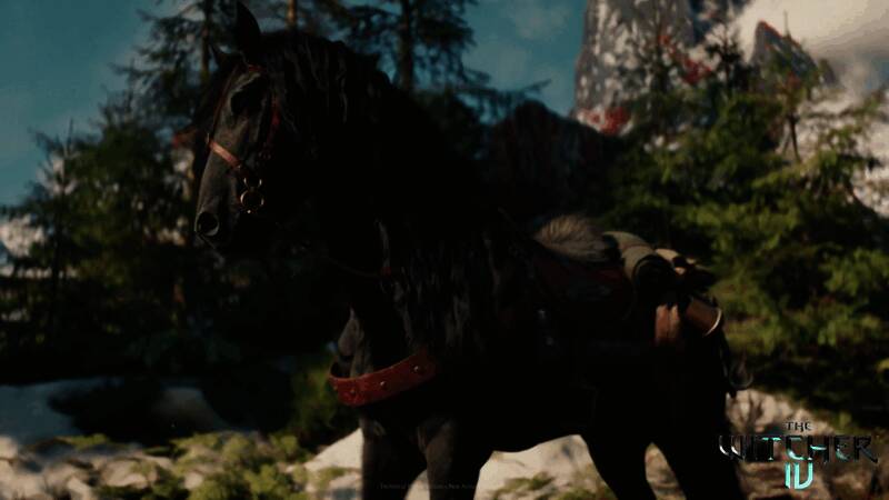 凯尔比与希里一同跃过障碍，动作协调一致