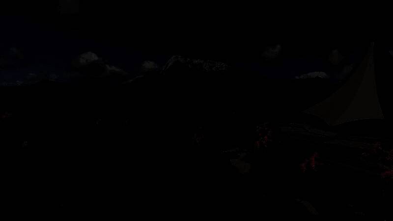 夜间园区灯光璀璨，恐龙在灯光下投射出巨大影子，营造神秘氛围