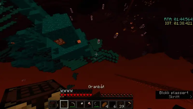 玩家角色与末影人对视瞬间的截图