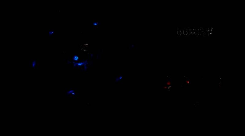 游戏界面展示双倍节倒计时与活动预告画面