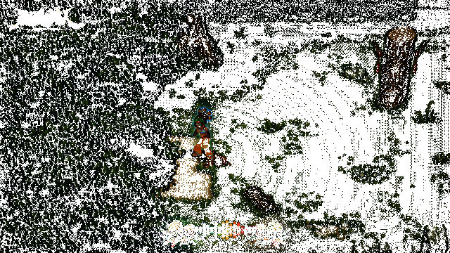 克拉拉空中连踢动画演示，特效炫目