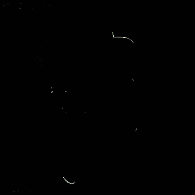 红扎古站立姿态展示，比例协调，静态表现力出色