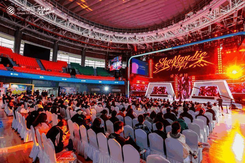 歌手黎知恩与沙楠杰在舞台上激情演唱，台下观众挥舞荧光棒应援