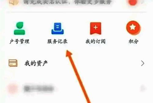 服务记录页面截图，突出显示账单选项位置