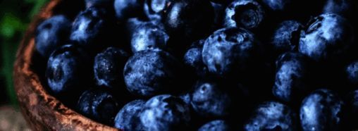 蚂蚁庄园小鸡喂养界面，展示饲料数量与小鸡成长状态