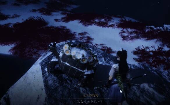 游戏角色站在山崖边与乌龟互动的视角截图