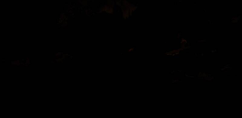 《巫师4》技术演示画面，希里面对动态自然场景，周围植被与光影细腻真实