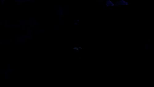 毒瘴缩圈预警画面，提示玩家转移安全区