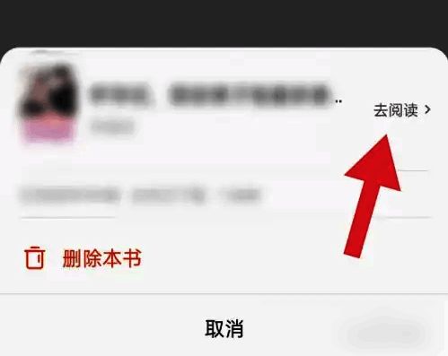 红果免费短剧阅读界面预览图