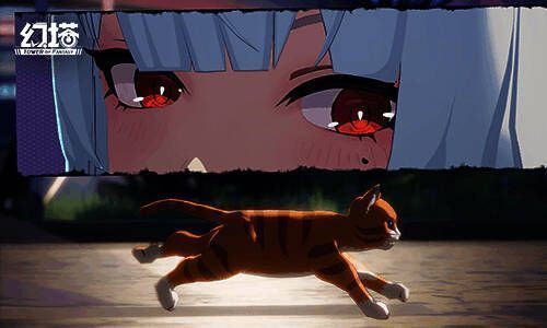 克劳迪娅温柔喂猫的画面，猫咪围绕在她身边