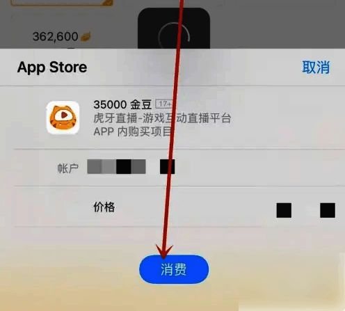 支付成功页面显示充值已完成，并提示会员权限已生效