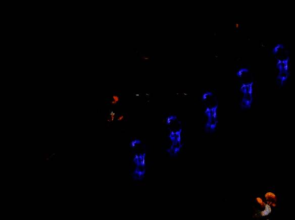 梦幻西游业焰熔金副本第八折战斗画面，角色与多波敌人激战