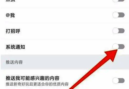 推送通知设置页面，系统通知开关处于开启状态，可手动关闭