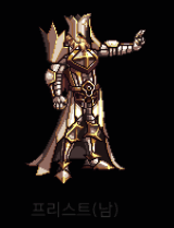 男圣职者另一款式，肩部装饰更加复杂