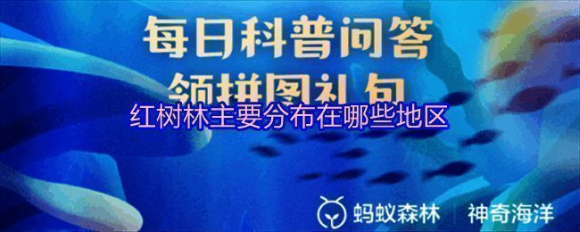 红树林生态系统实景图，展现茂密红树林与丰富生物多样性