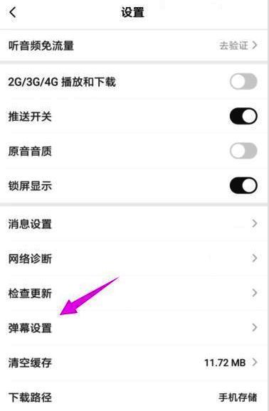 弹幕设置页面截图，显示各项弹幕功能已启用