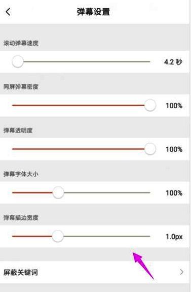 弹幕设置详细界面截图，各项数值可调节
