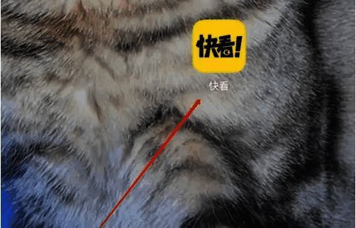 手机展示快看漫画APP启动界面