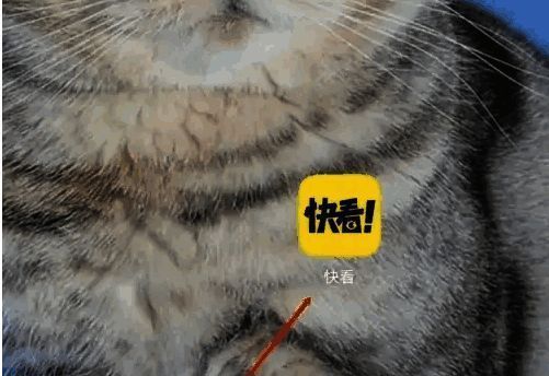 快看漫画APP首页界面展示，显示我的页面入口