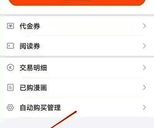 自动购买管理界面展示，显示已开启的订阅项目列表