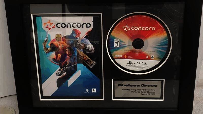 《星鸣特攻》纪念牌正面展示，清晰可见刻字与游戏光盘