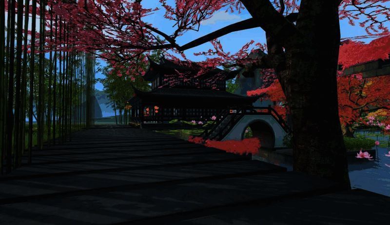 翠竹掩映的小径上阳光透过树叶洒落