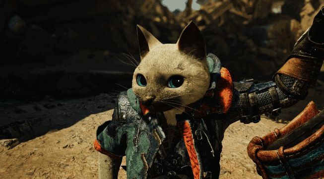 艾露猫头盔设计图展示，多种配色方案引人注目