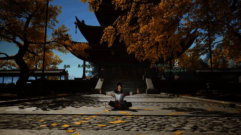 《射雕》内功与武学搭配界面展示，多种组合自由选择