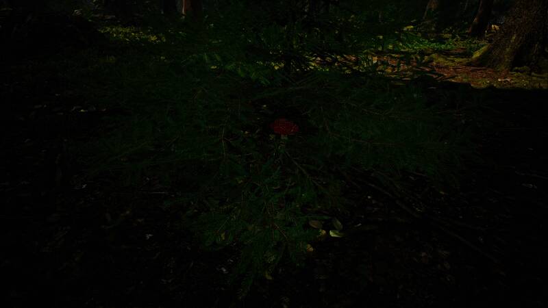 玩家在湖边休息，周围摆满已采摘好的蘑菇