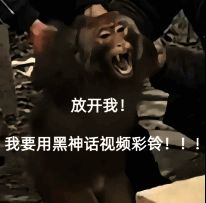 黑神话主题彩铃设置成功提示界面