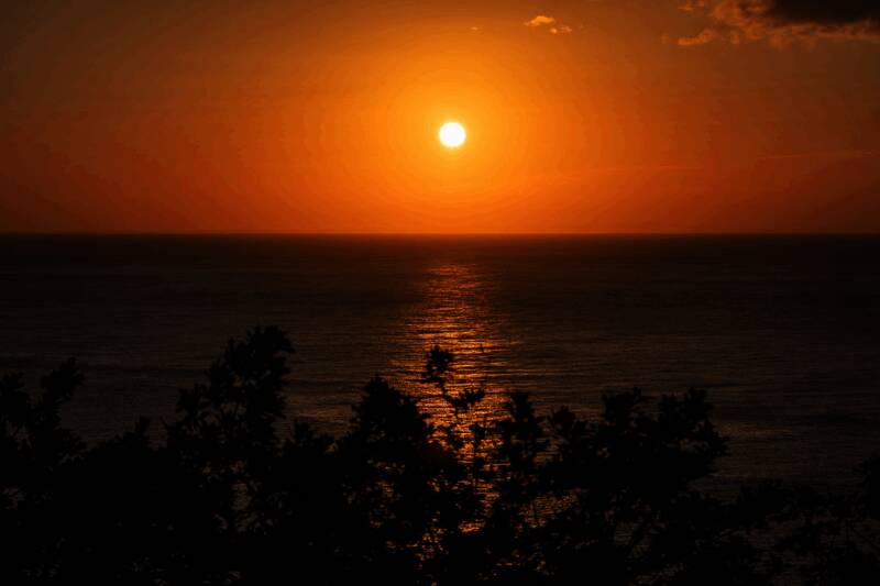 拍摄传统日式庭院布局用于游戏场景参考