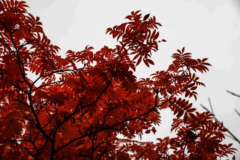 北海道知床半岛悬崖海岸实景拍摄图