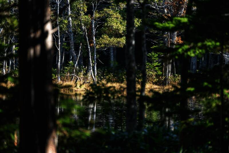 开发团队在雪地环境中记录地形地貌特征